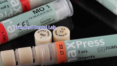 Standard Dental Lab Co., Limited üreticinin üretim hattı