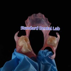 Standard Dental Lab Co., Limited üreticinin üretim hattı