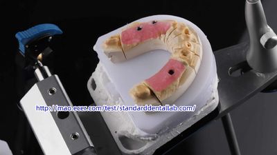 Standard Dental Lab Co., Limited üreticinin üretim hattı