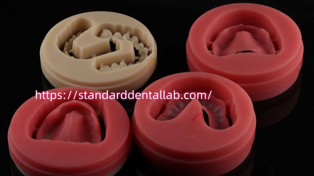 Standard Dental Lab Co., Limited üreticinin üretim hattı