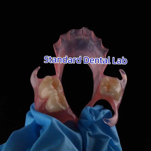 Standard Dental Lab Co., Limited üreticinin üretim hattı