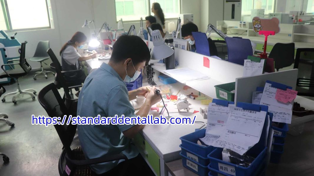 Standard Dental Lab Co., Limited üreticinin üretim hattı