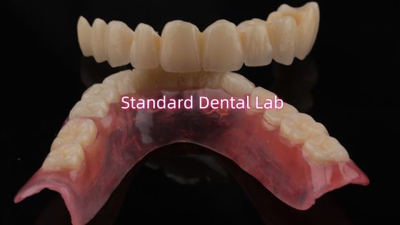 satın al Yüksek Dayanıklı ve Doğal Görünümlü Katmanlı Porselen Dental Zirconia Crown China Dental Lab için çevrimiçi üretim