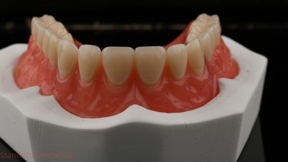satın al Dentsply Lucitone 199 Doğal görünüm için akrilik diş protezi çevrimiçi üretim