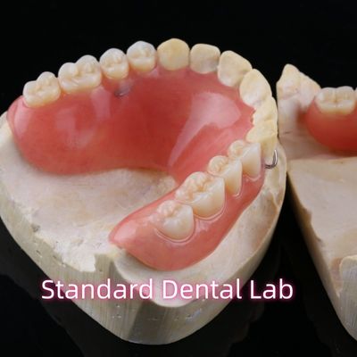 Yüksek Estetik Akrilik Kısmi Diş Dişleri Dental reçine dişleri tabanlı