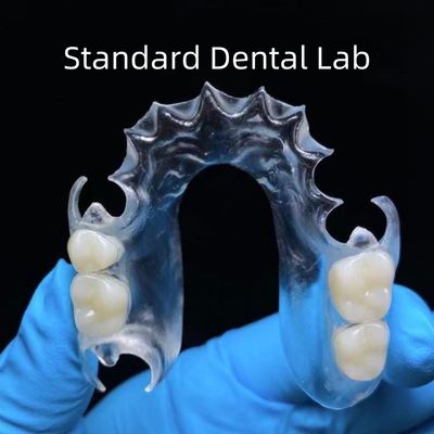 Diş Temizliği TCS Valplast Esnek Diş Parçaları Standart Diş Laboratuvarı