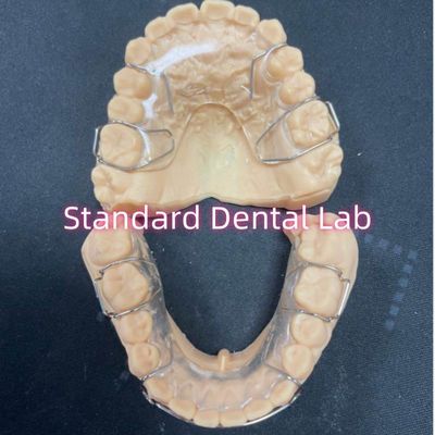 Profesyonel Ortodontik Tutma Acrylic Dental Hawley Tutma Adam Klaps