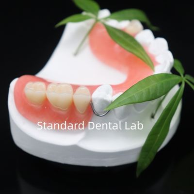 Yüksek Estetik Dentsply Lucitone 199 Akrilik Denture diş protezleri için akrilik reçine Çin Diş laboratuarı