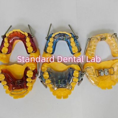 Çin Diş Laboratuvarından Diş Fonksiyonel Ortodontik Bahar Aletleri