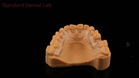 Mükemmel Uyumlu Almanya Ortho Dişleri Estetik ve Düzenlenebilirlik için Halley Retiner Açık Gölge SDL Diş Laboratuvarı
