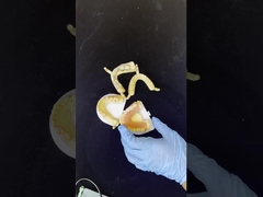 Dentsply Lucitone 199 Doğal görünüm için akrilik diş protezi