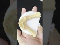 Metal Alaşımları Kısmi Kobalt Krom Diş Dişleri Ivoclar Scheftner Rahat Metal Çerçeve