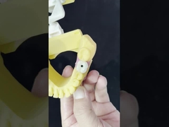 Porselen All On Four Zirkonya Köprüsü Yüksek Estetik Diş İmplantı Köprüsü Vuruşu