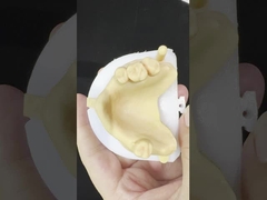 Metal Alaşımları Kısmi Kobalt Krom Diş Dişleri Ivoclar Scheftner Rahat Metal Çerçeve